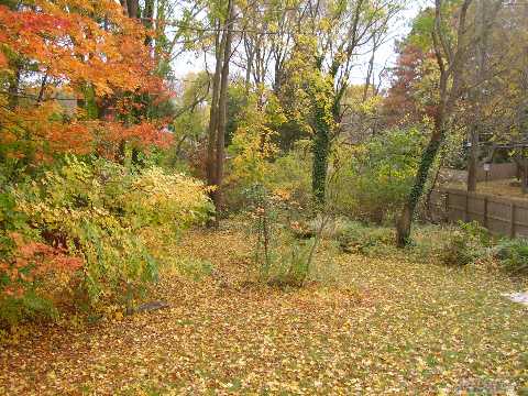 88 Terry Rd, Smithtown, NY à vendre - Autre – Image 2 sur 10