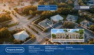 Plus de détails pour 27454 Cashford Cir, Wesley Chapel, FL - Bureau à vendre
