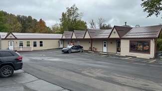 Plus de détails pour 1212 E M-36, Pinckney, MI - Local commercial à vendre