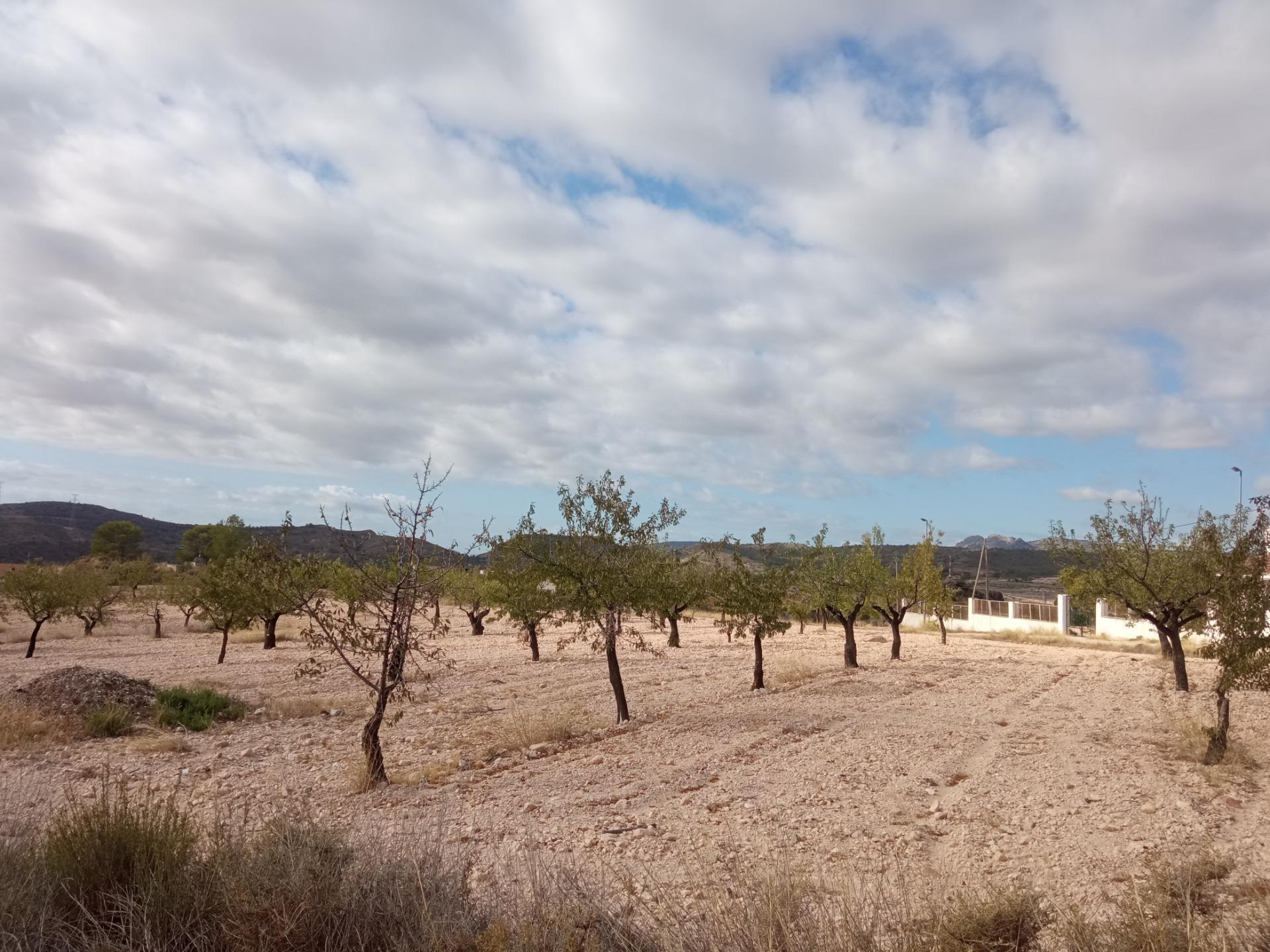 Calle de la Vereda, 4, Abanilla, Murcia à vendre Photo principale– Image 1 sur 5