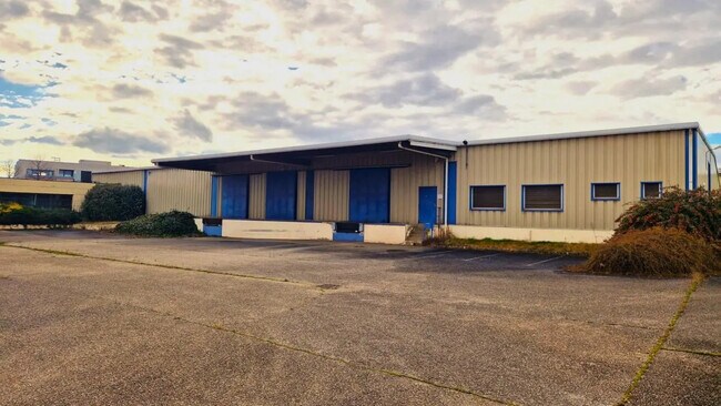 Plus de détails pour 50 Rue Du Mollaret, Saint-Quentin-Fallavier - Local d’activités à vendre