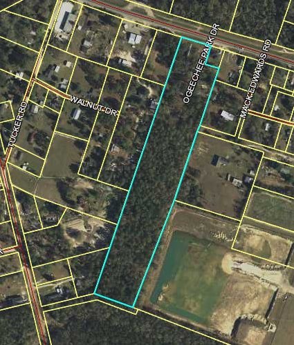 0 Hwy 80, Ellabell, GA à vendre - Photo principale – Image 1 sur 1