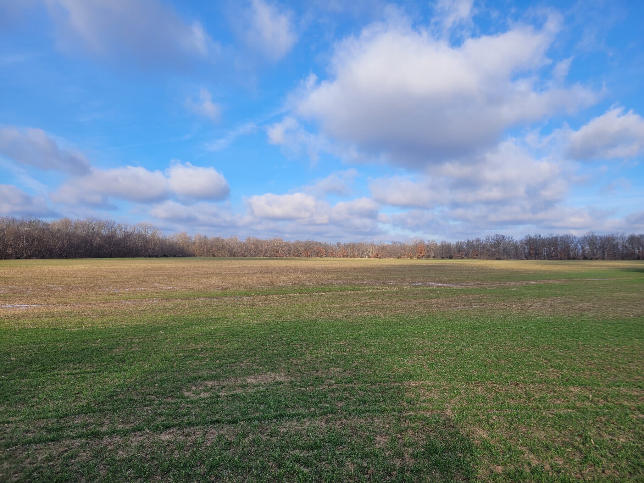Bales Rd. (81.80+/- Acres), Middletown, MO à vendre Autre– Image 1 sur 47