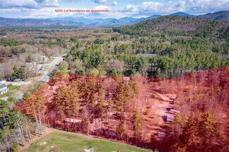Plus de détails pour 419 White Mountain Hwy, North Conway, NH - Logement à vendre