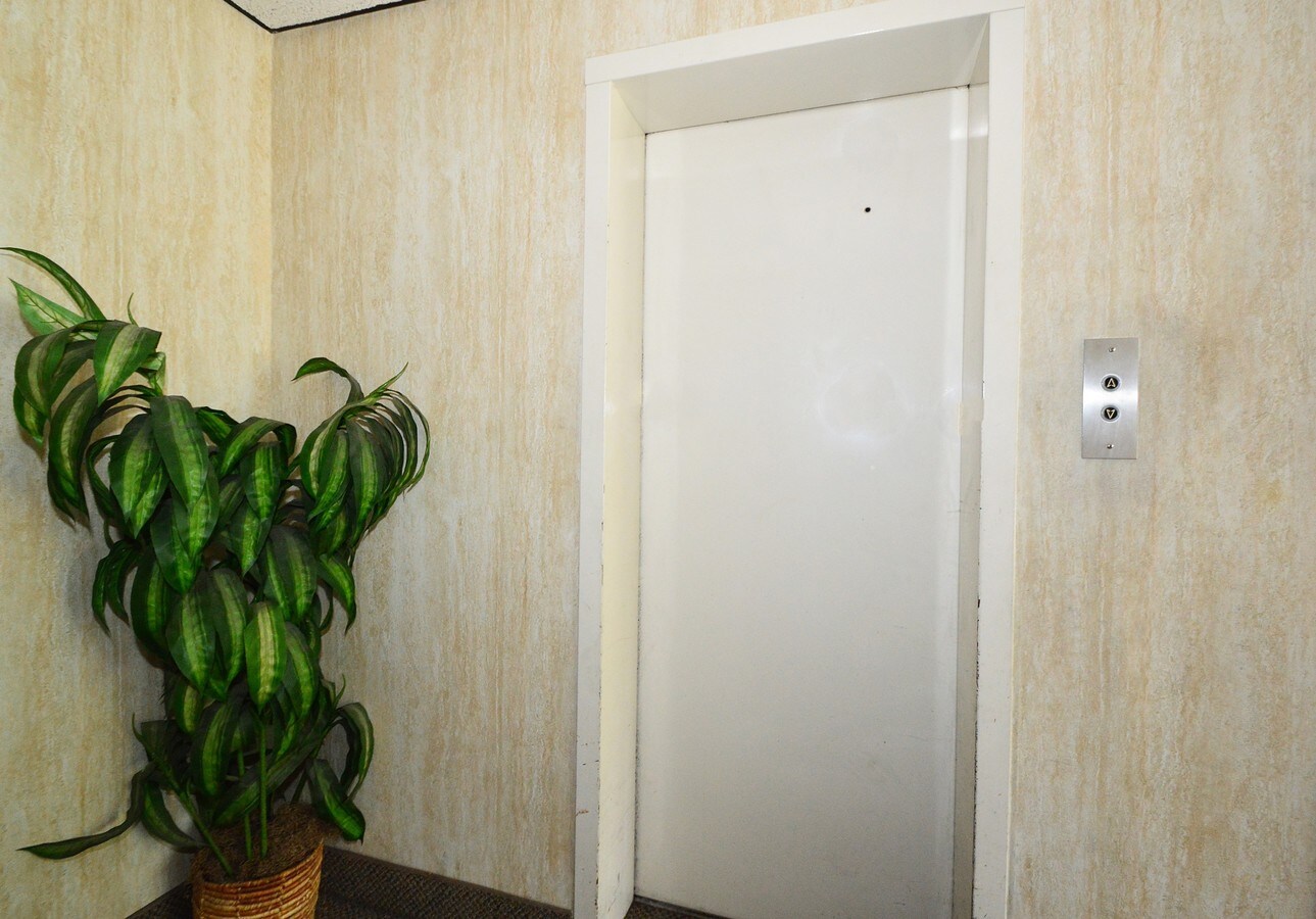View Photo