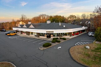 Plus de détails pour 353 Scott Swamp Rd, Farmington, CT - Local commercial à louer