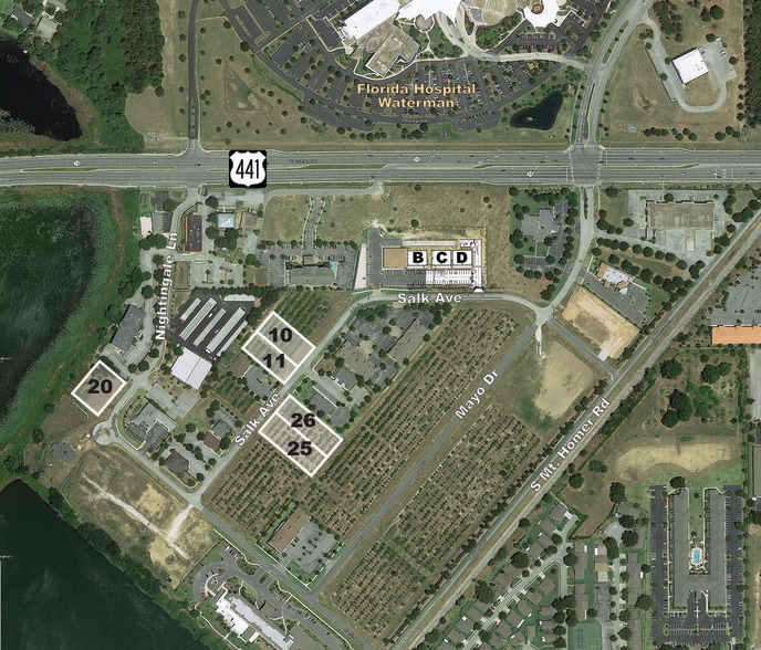 Nightingale Ln, Tavares, FL à vendre - Aérien – Image 2 sur 5