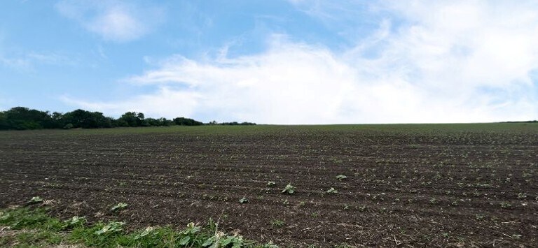 CR 48, 54.166 AC, Robstown, TX à vendre - Photo de l’immeuble – Image 2 sur 4