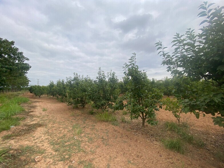 Mataburres, Carlet, Alrededores, Carlet, Valencia à vendre - Photo principale – Image 2 sur 10