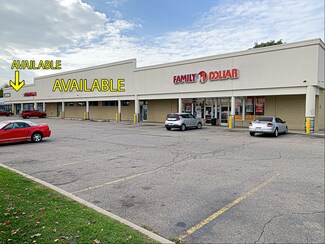 Plus de détails pour 148-206 S Wayne Rd, Westland, MI - Bureau/Local commercial à louer