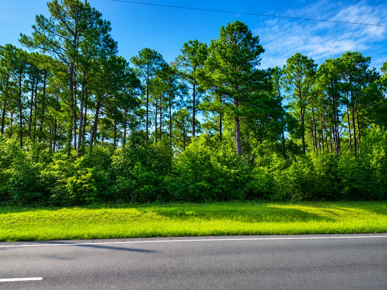 1004 Philema Rd, Albany, GA à vendre - Photo principale – Image 1 sur 2