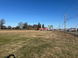 Plus de détails pour 10321 NY-60 South, Fredonia, NY - Terrain à vendre