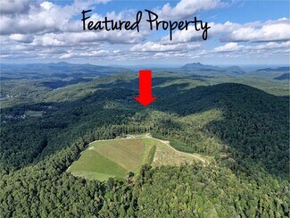 Plus de détails pour 781 Payne dr, Zirconia, NC - Terrain à vendre
