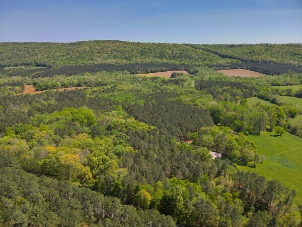 0 S Sauty Rd, Langston, AL à vendre - Photo de l’immeuble – Image 1 sur 7