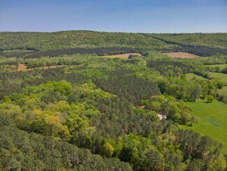 Plus de détails pour 0 S Sauty Rd, Langston, AL - Terrain à vendre