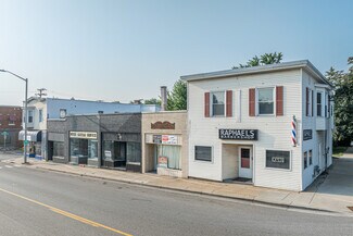 Plus de détails pour 1200-1210 Leonard St, Grand Rapids, MI - Local commercial à vendre