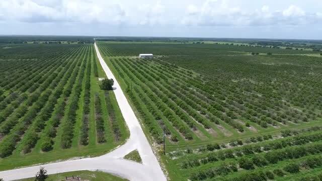 5015 Fish Branch Rd, Zolfo Springs, FL à vendre - Vidéo sur l’annonce professionnelle – Image 2 sur 20