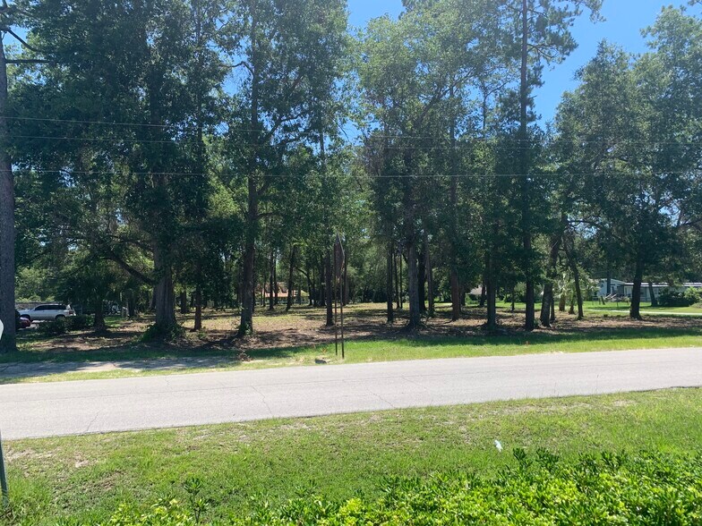 3888 Palmetto St, Middleburg, FL à vendre - Photo principale – Image 1 sur 7