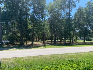 Plus de détails pour 3888 Palmetto St, Middleburg, FL - Terrain à vendre