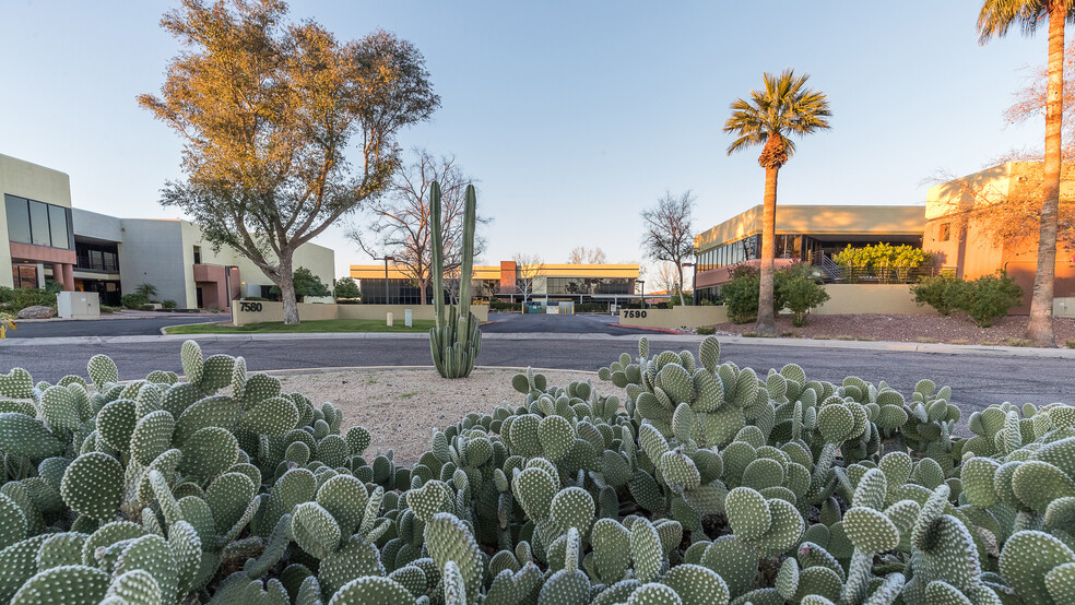 7585-7595 E Redfield Rd, Scottsdale, AZ à louer - Photo de l’immeuble – Image 2 sur 12