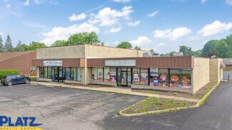 Plus de détails pour 4365 Youngstown Rd SE, Warren, OH - Local commercial à vendre