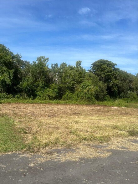 Redtree Dr, Leesburg, FL à vendre - Photo de l’immeuble – Image 3 sur 12