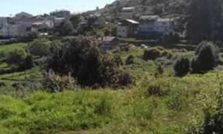 Plus de détails pour Camiño Bargiela, Baiona - Terrain à louer