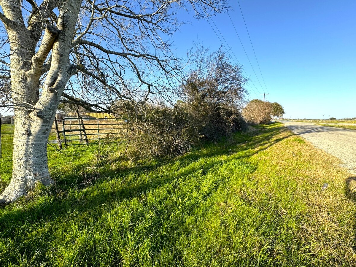 View Photo