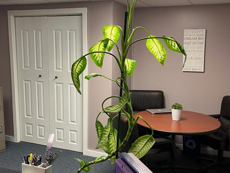 284 Merrow Rd, Tolland, CT à vendre - Photo intérieure – Image 3 sur 37