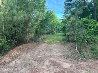 Plus de détails pour TBD Willie Reed Road, Jefferson, TX - Terrain à vendre