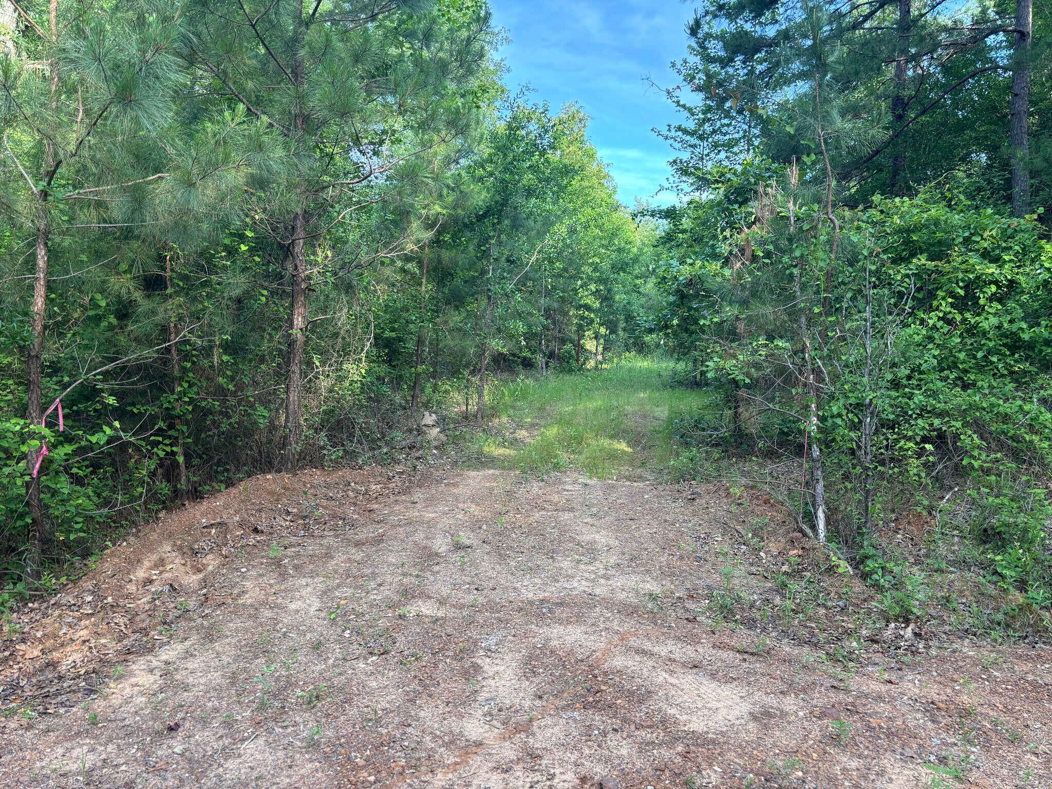 TBD Willie Reed Road, Jefferson, TX à vendre Photo principale– Image 1 sur 7