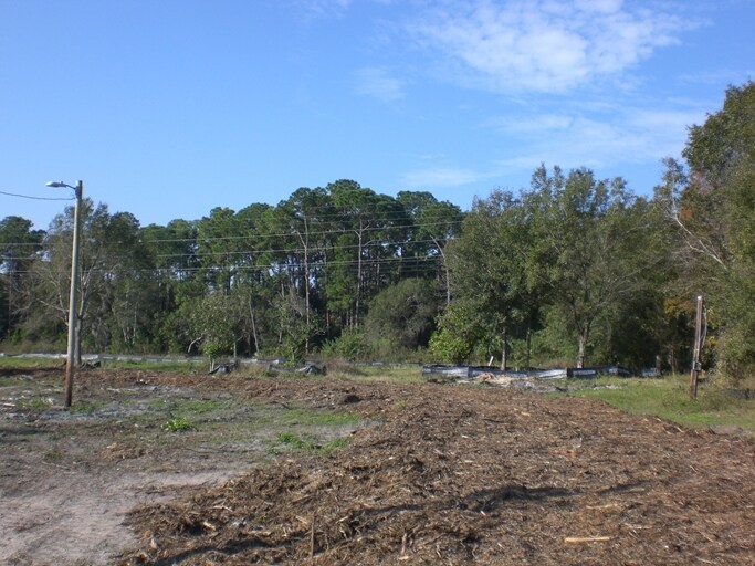 0 Antilla St, Tampa, FL à vendre Autre– Image 1 sur 6