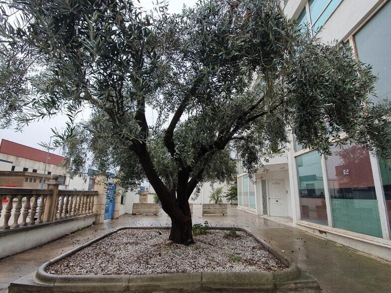 Carrer dels Moliners, Alzira, Valencia à vendre - Photo de l’immeuble – Image 3 sur 15