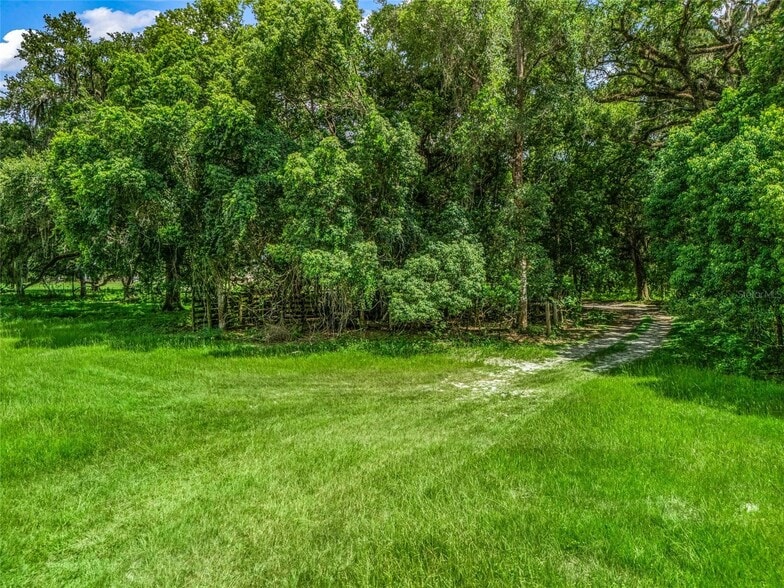 CR 738, Webster, FL à vendre - Autre – Image 3 sur 15
