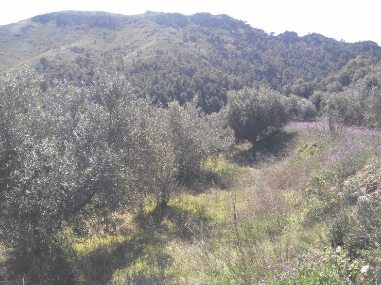 Terrain dans Calasparra à vendre - Photo de l’immeuble – Image 1 sur 10