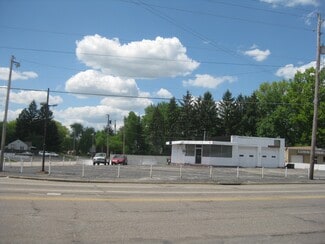 Plus de détails pour S Meridian Rd, Youngstown, OH - Terrain à vendre