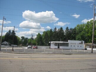 Plus de détails pour S Meridian Rd, Youngstown, OH - Terrain à vendre