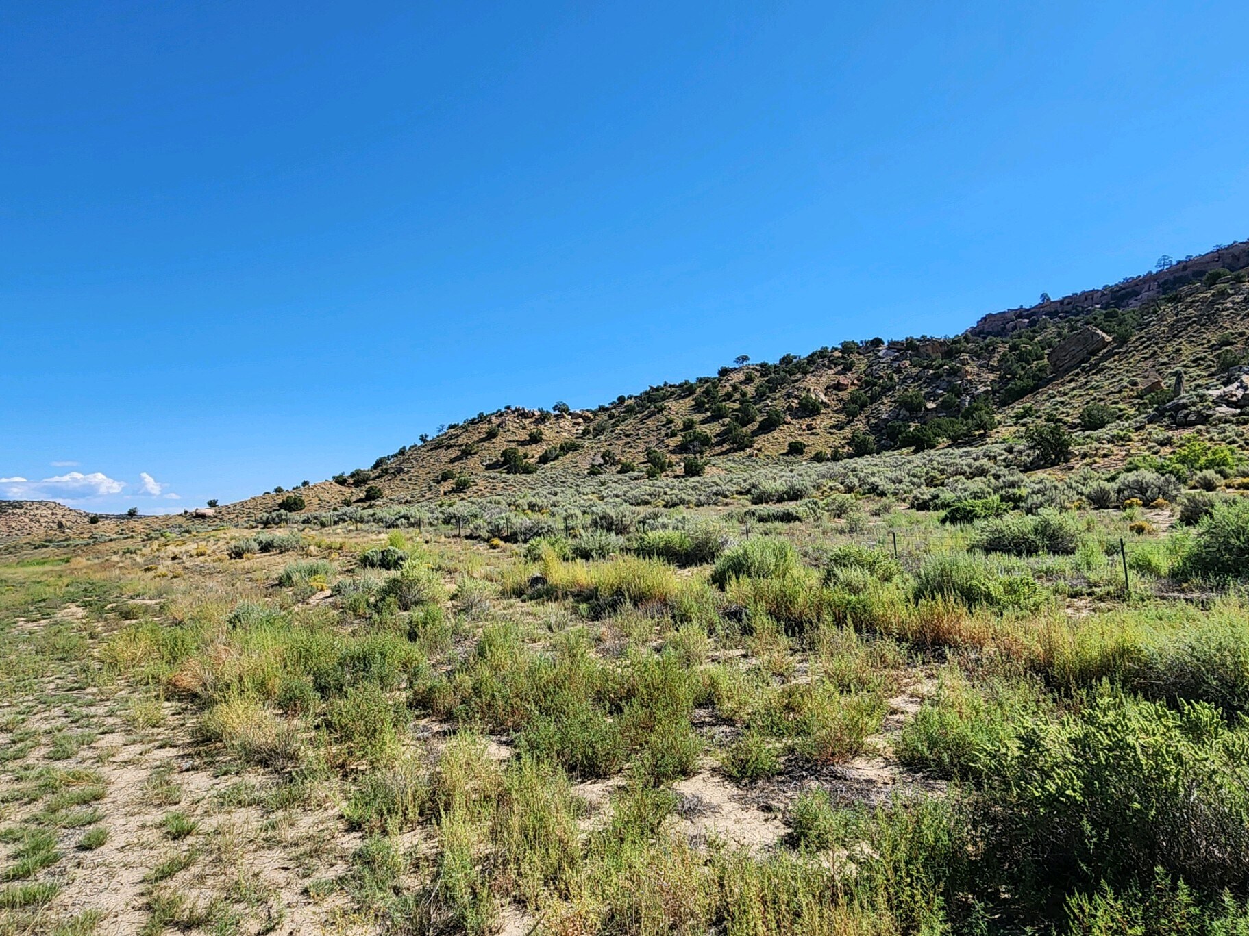 60 ac on Lupton Road, Mentmore, NM à vendre Autre– Image 1 sur 7