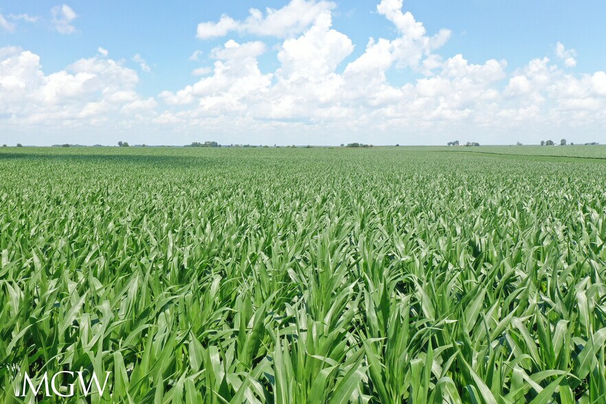 Illinois 17, Toluca, IL à vendre - Photo de l’immeuble – Image 3 sur 7