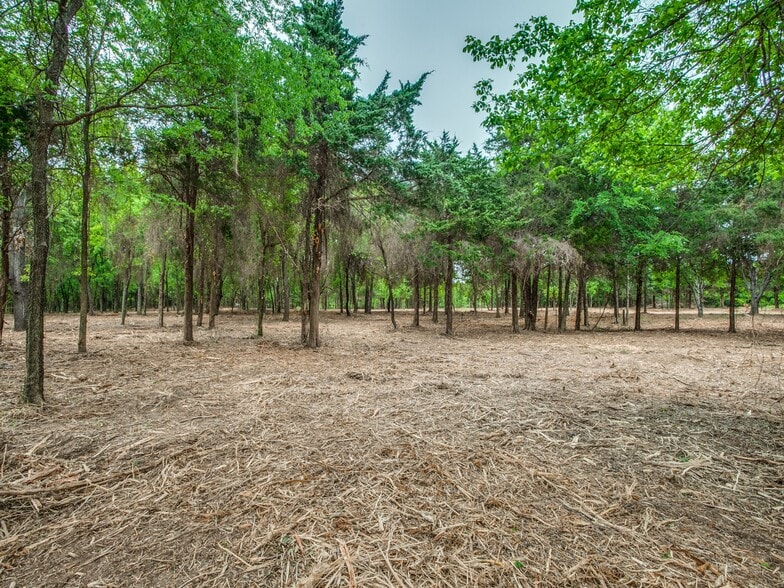 9500 FM 455, Pilot Point, TX à vendre - Photo de l’immeuble – Image 2 sur 14