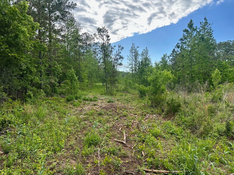 Satcher Road Rd, Taylorsville, GA à vendre - Photo de l’immeuble – Image 1 sur 5