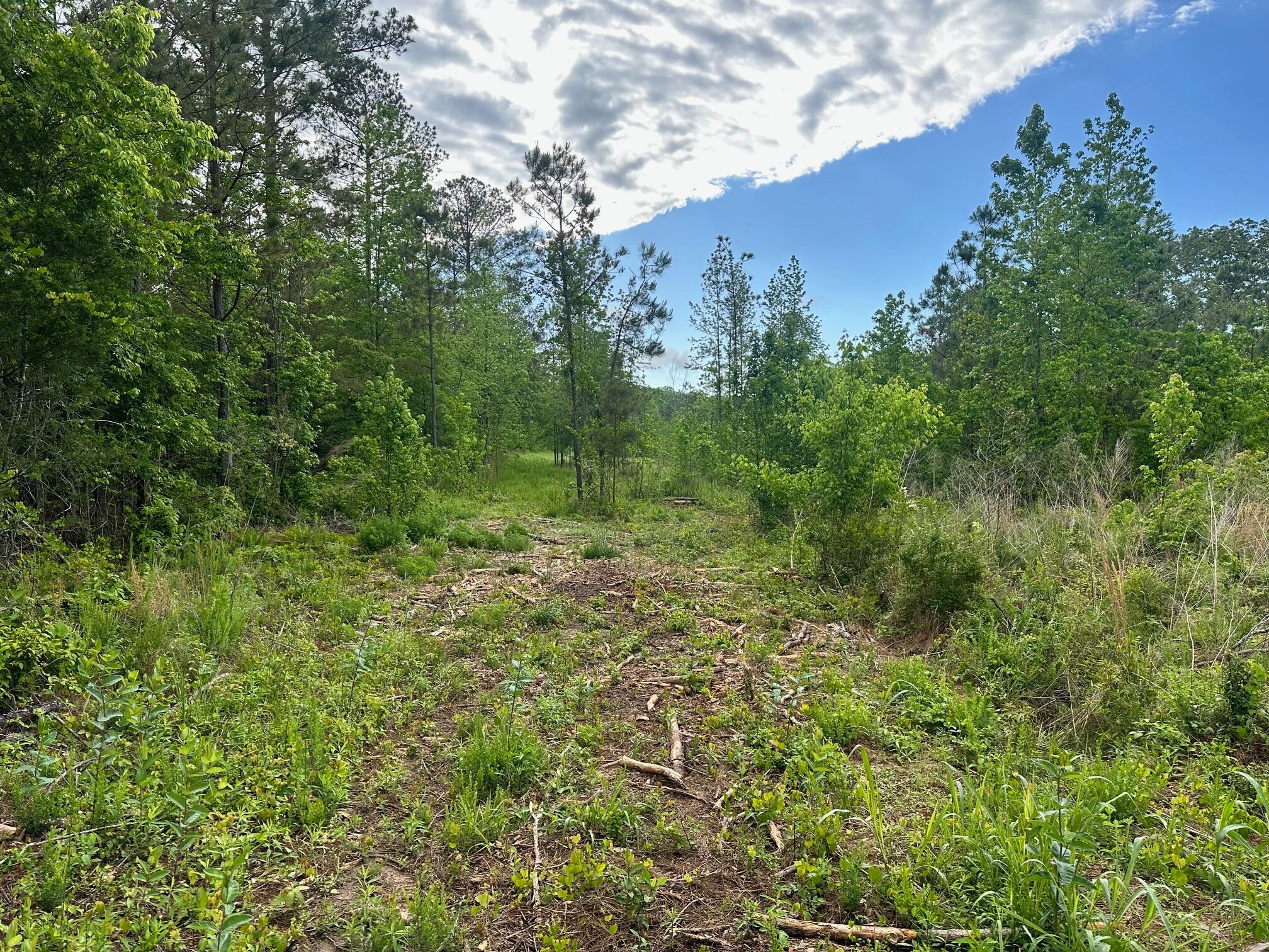Satcher Road Rd, Taylorsville, GA à vendre Photo de l’immeuble– Image 1 sur 6