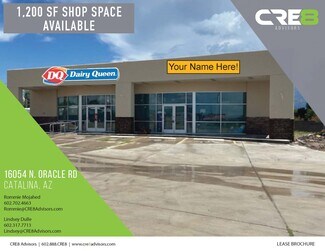 Plus de détails pour 16054 N Oracle Rd, Catalina, AZ - Local commercial à louer