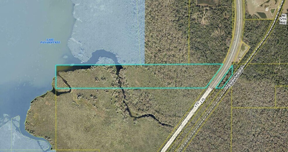 Lake Panasoffkee, Lake Panasoffkee, FL à vendre - Photo principale – Image 1 sur 4