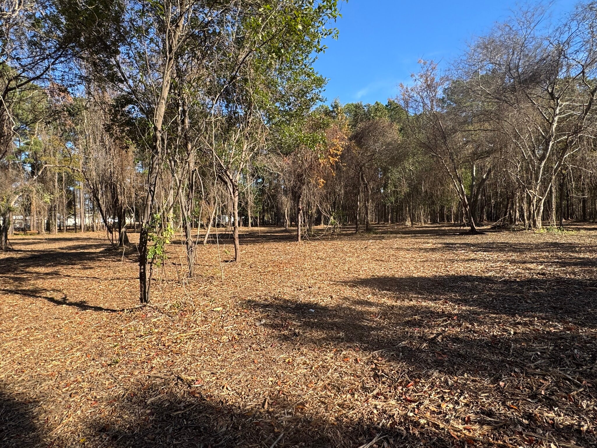 1183 NC-177, Hamlet, NC à vendre Photo principale– Image 1 sur 9