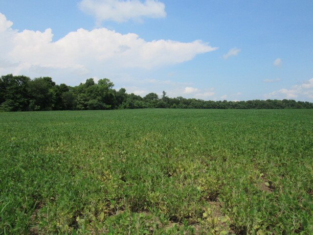 View Photo