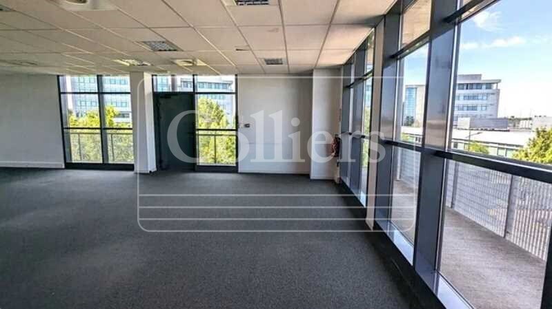 9 Rue Louis Courtois De Viçose, Toulouse à louer - Photo de l’immeuble – Image 3 sur 28