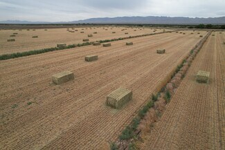 Plus de détails pour 38348 Highway 20, Fort Hancock, TX - Terrain à vendre