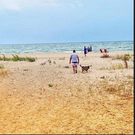 4270 N US 23 Hwy, Oscoda, MI à vendre - Photo de l’immeuble – Image 3 sur 12
