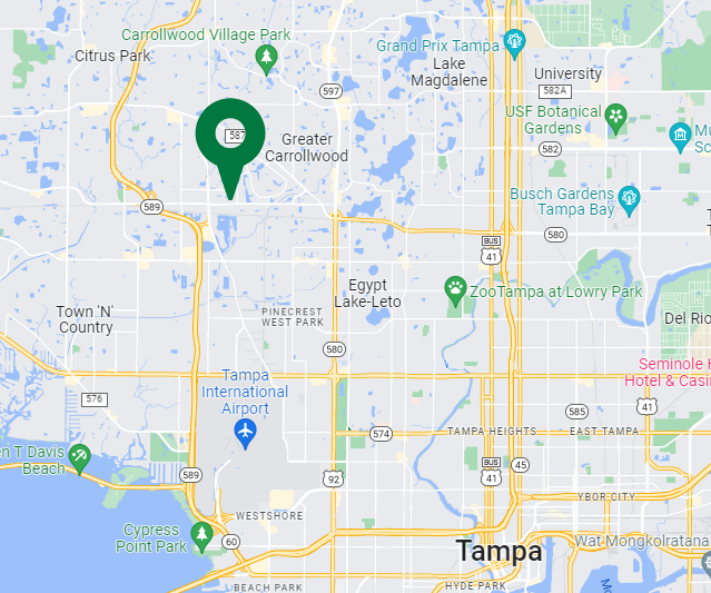 5406 W Linebaugh Ave, Tampa, FL à vendre - Photo de l’immeuble – Image 2 sur 4